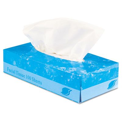 GEN FACIAL30100 2 Ply Facial Tissue, 100 Tissues / Flat Box - 30 / Case