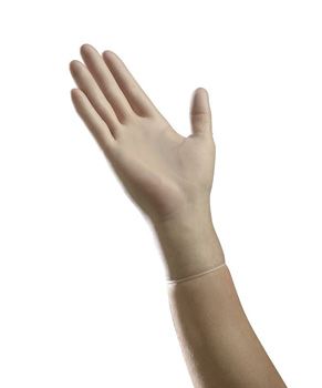 Tradex VXL5201 Vinyl Gloves, Extra Large, Powder Free - 1000 / Case