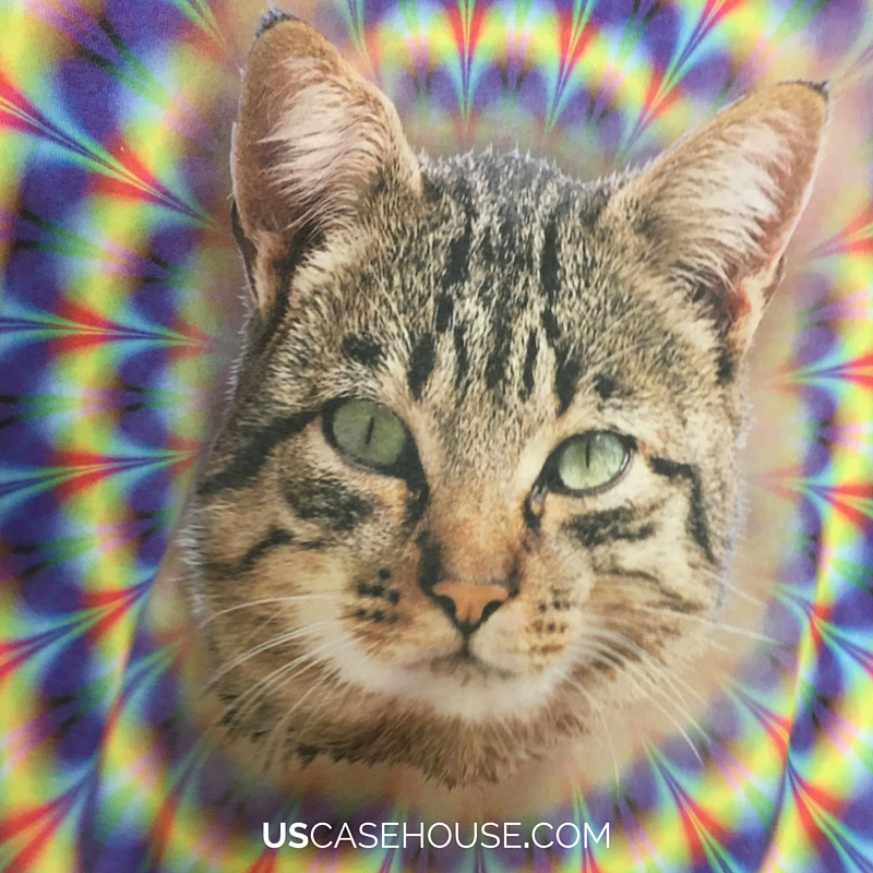 Almost TGIF and Labor Day Weekend!